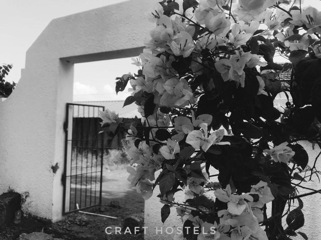 Craft Hostels Anjuna Exterior photo